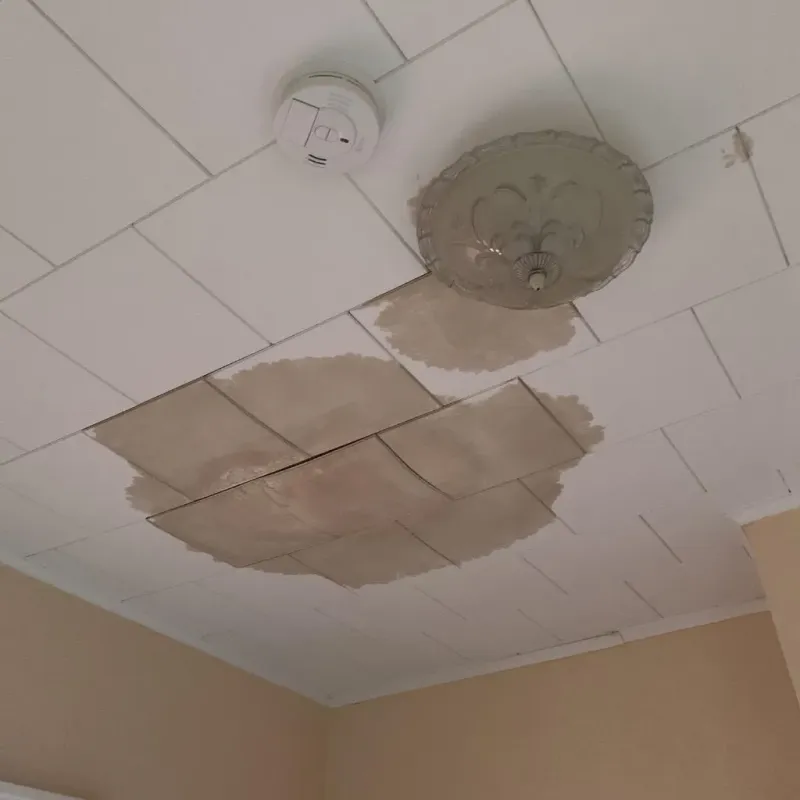 Ceiling Water Damage Repair in Jenks, OK